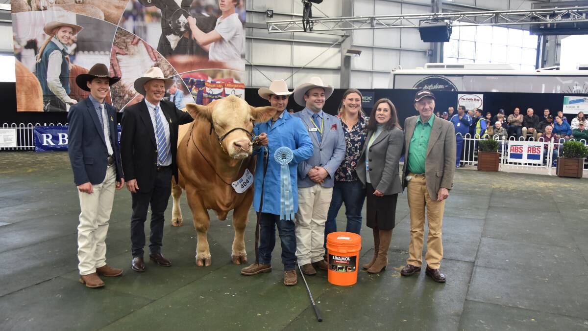 Supreme Charolais was won by Waterford Midnight Lightning, here with judges Harry Turnham, Andrew Manson, the Waterford stud team and George Crocombe.