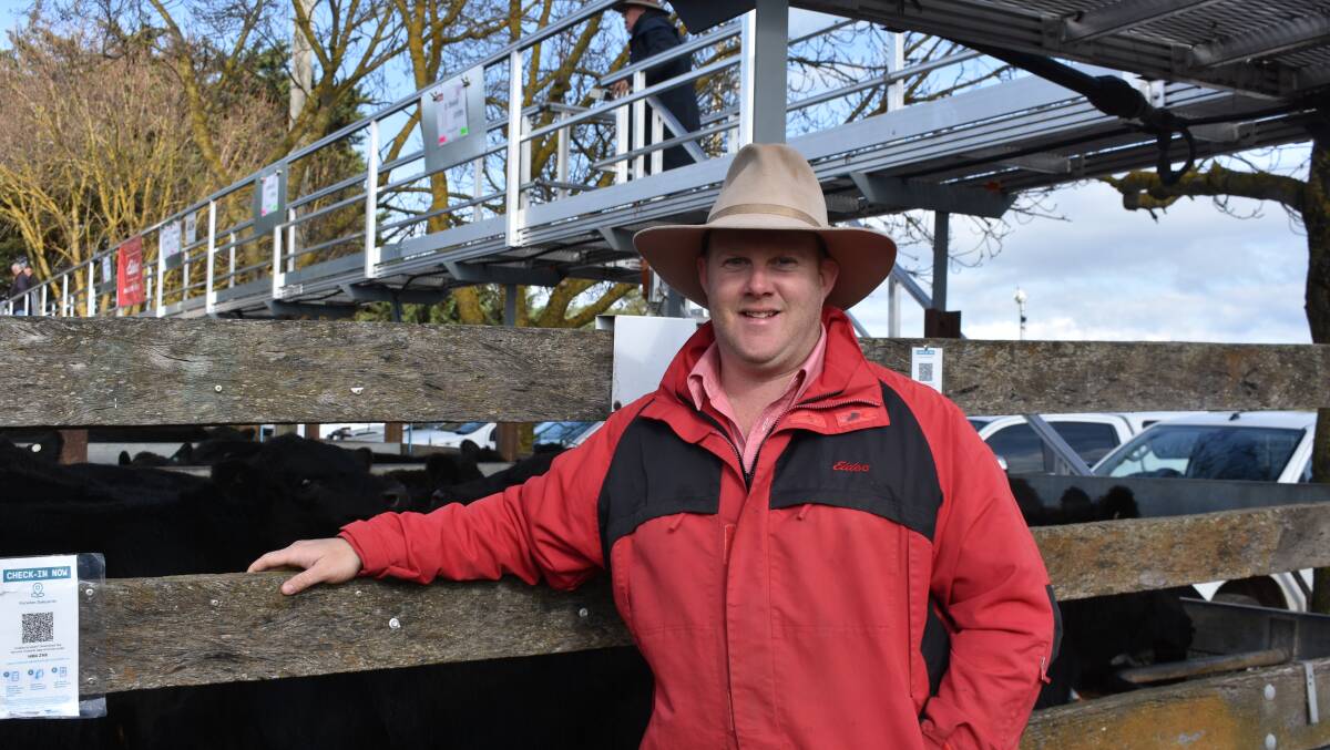 SALE CANCELLATION: Tight cattle numbers and wintry conditions have seen the Kyneton store sale cancelled, says Elders livestock agent Dean Coxon.