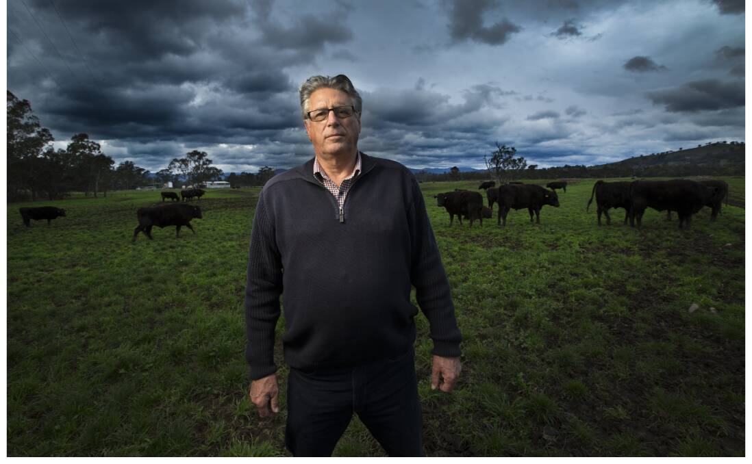 NEW VENTURE: Renowned Wagyu producer David Blackmore is setting up a new venture, using European heritage breed cattle, at Benalla.