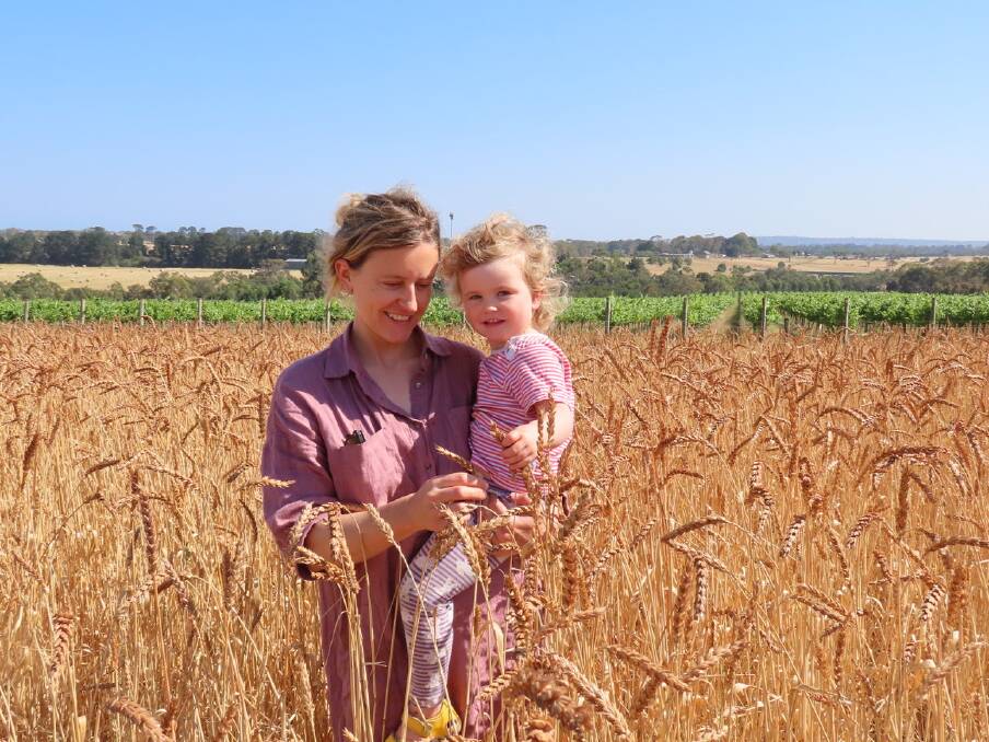 WHEAT GROWER: Jason Cotter's partner, Emma Hicks and daughter Clementine Cotter in field of Rouge de Bordeaux (French red wheat, 1800s) at Tuerong Farm, on the Mornington Peninsula. 