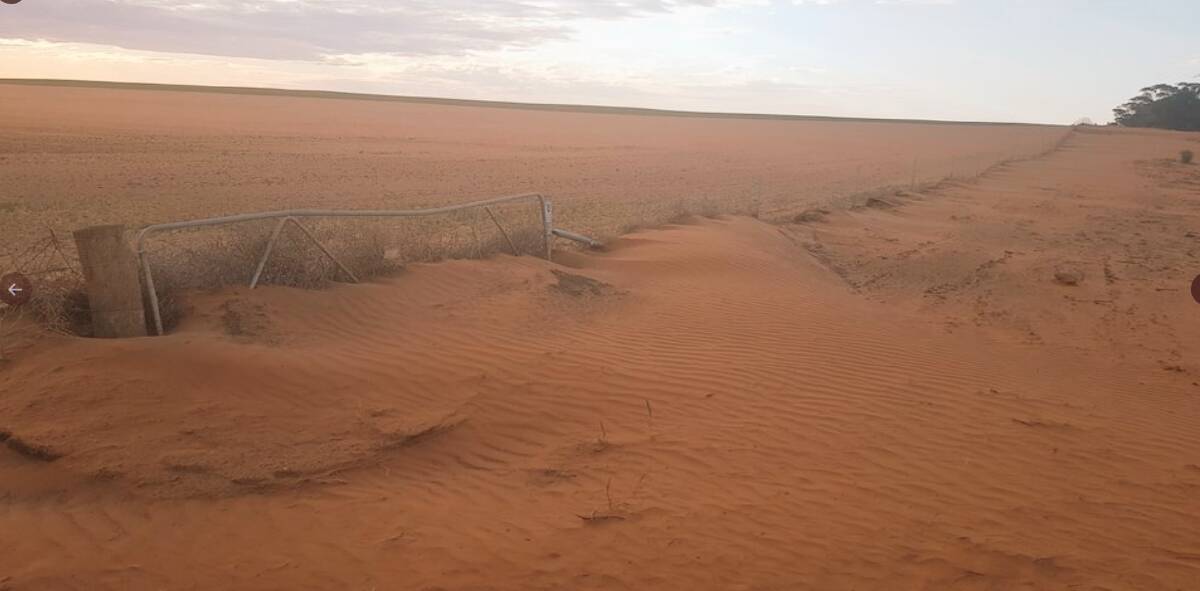 FAILED SEASON: Farmers in the Millewa and Carwarp region, of north-west Victoria, are calling for more targetted government drought relief.