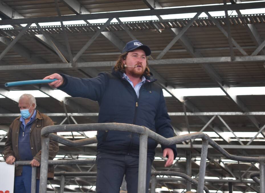 SALE-O: Charles Stewart Dove auctioneer Shelby Howard says weaner prices in recent months had been "absolutely exceptional".