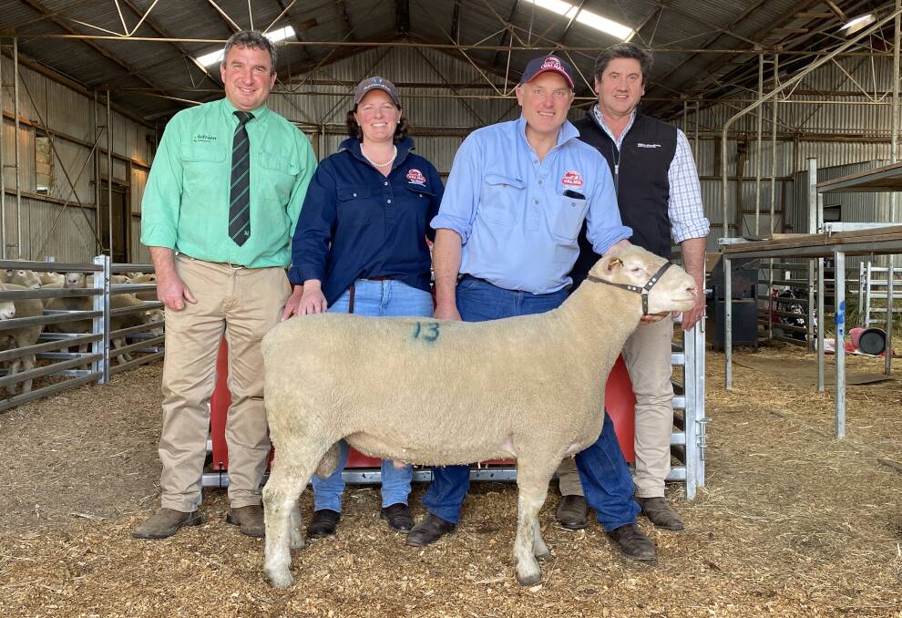 Nutrien's Tim Woodham, Valma's Caroline and Andrew McLauchlan and Webb and Woodiwiss' Mark Webb with the top-priced ram, a Poll Dorset. Picture supplied by Valma.