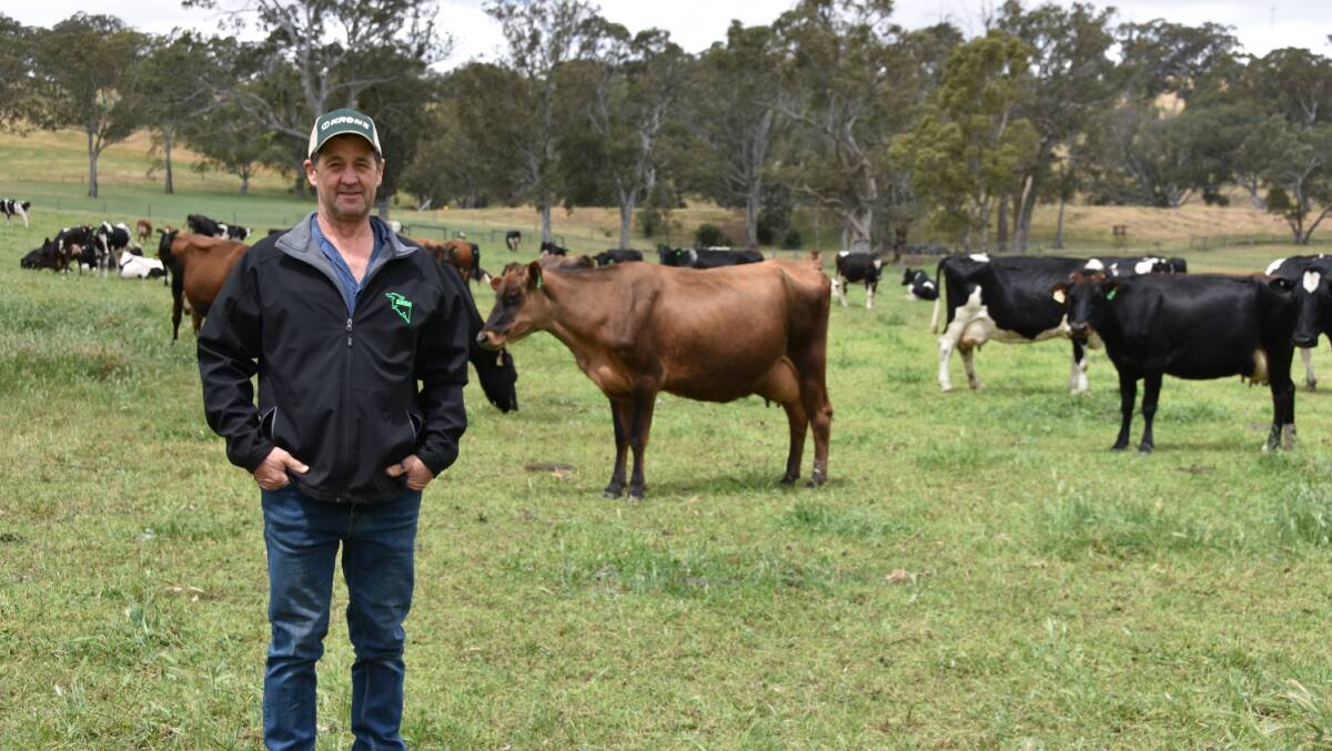 Australian Dairy Farmers president Rick Gladigau, Mount Torrens, SA, says he's concerned about the long term impact of dairy imports. Picture supplied