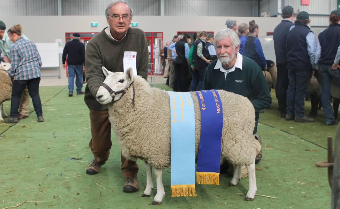 GIPPSLAND CHEVIOT: Greyoak’s Neil Hopkins and stud principal John Armstrong with the winning ewe, which caught the eye of Tasmanian judge Chris Badcock. Mr Badcock encouraged breeders to continue in the direction they were going. PHOTO: Andrew Miller.