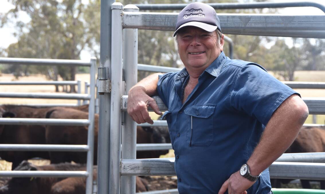 SIMPLE OPERATION: Mike Abramowski, Redesdale, said he ran a simple operation, aiming to breed good calves, with weight in them at weaning. He met with success at last year's Kyneton weaner sales.