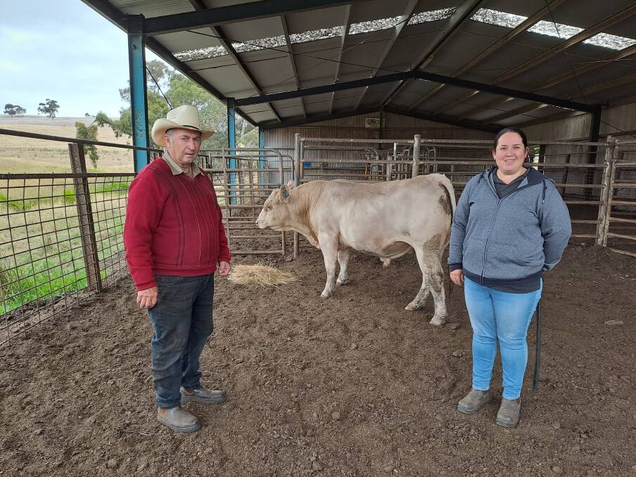One of the two top sellers, Lot 1, which went to Peter Burchard, Millicent, SA, with stud principal Allan Crozier and daughter Jane. Picture supplied. 