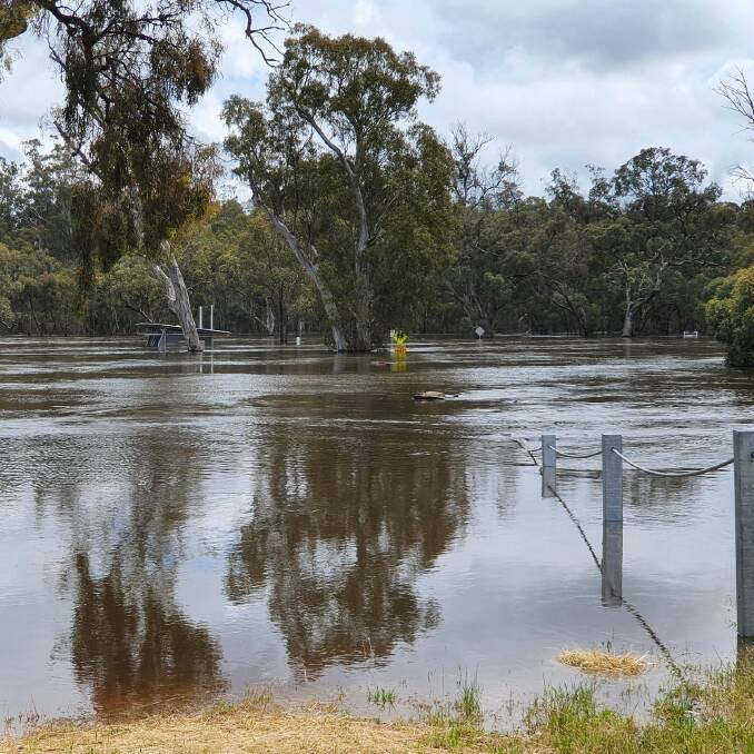 Murray River at Tocumwal. Picture supplied by the Bureau of Meteorology.