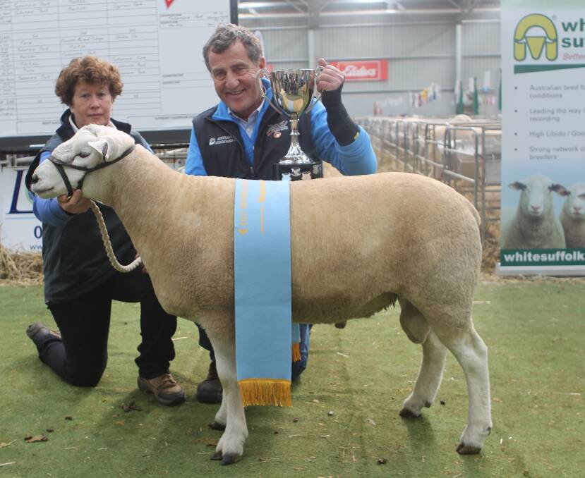 WINNING TEXEL: Importing New Zealand genetics paid dividends for the Tullamore Park stud, with Liz and Peter Russell taking out the Supreme Champion trophy.