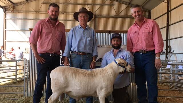 SUCCESSFUL SALE: Evan Fernandez, Elders, Rod Donnell, Beemma Australian Whites, SA, Ben Rowney, Gamadale, and Martin Williams, Elders, with the top-priced ram. 