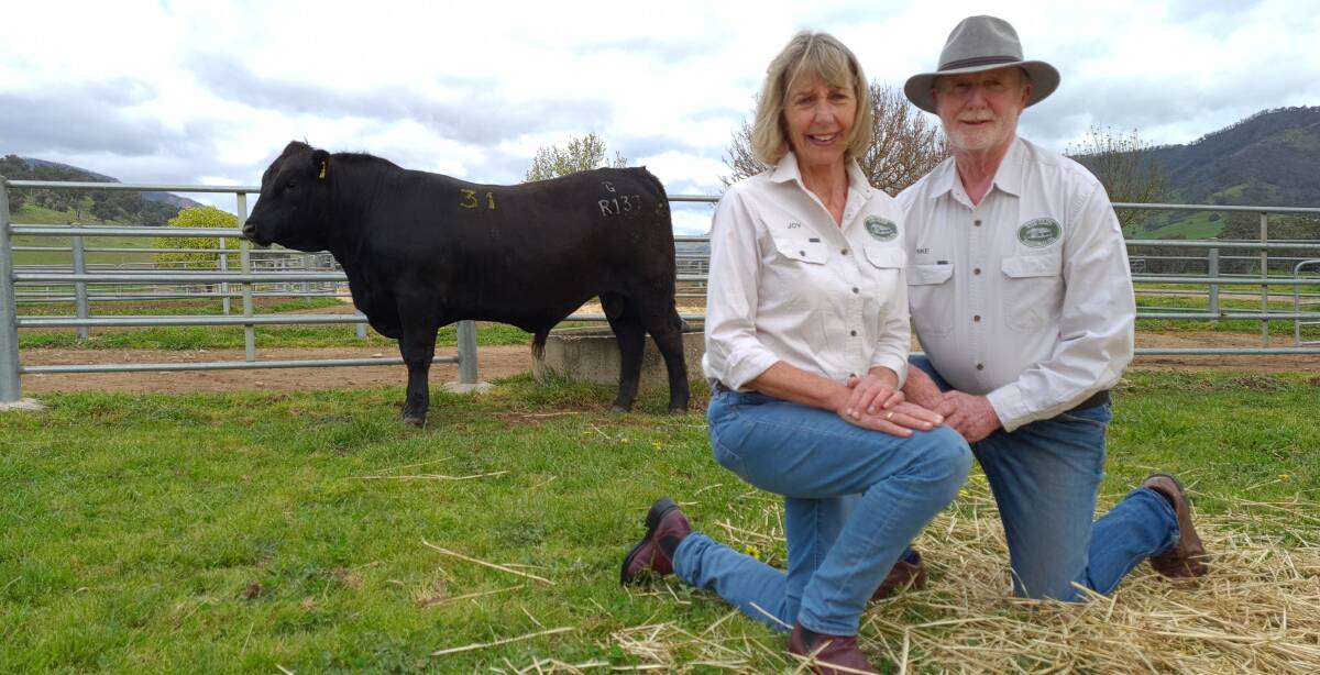 TOP BULL: The Glen principals Mike and Joy Gadd, with the top-priced bull, purchased by repeat buyers Michael and Marion Blake, Winslade, Mt Stromlo, ACT. Photo by Charlie Gadd.