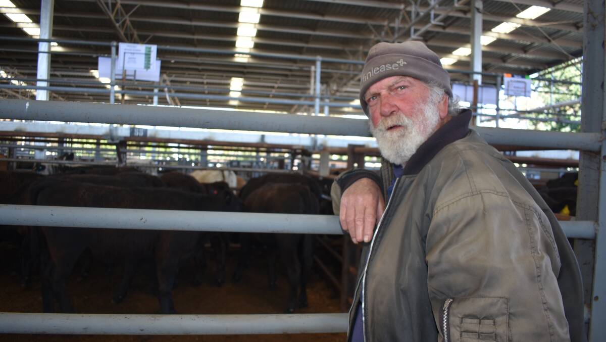 Broadford's Doug Stray, Upson Downs, was among a handful of vendors who had larger drafts of cattle at Euroa's March store sale. Picture by Andrew Miller