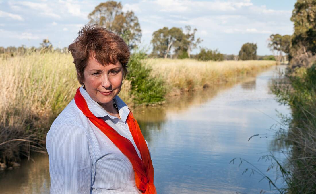 WATER WORKSHOP: Shepparton Independent MP Suzanna Sheed is part of a water workshop, on Monday, looking at the socio-economic neutrality test under the Murray Darling Basin Plan. 