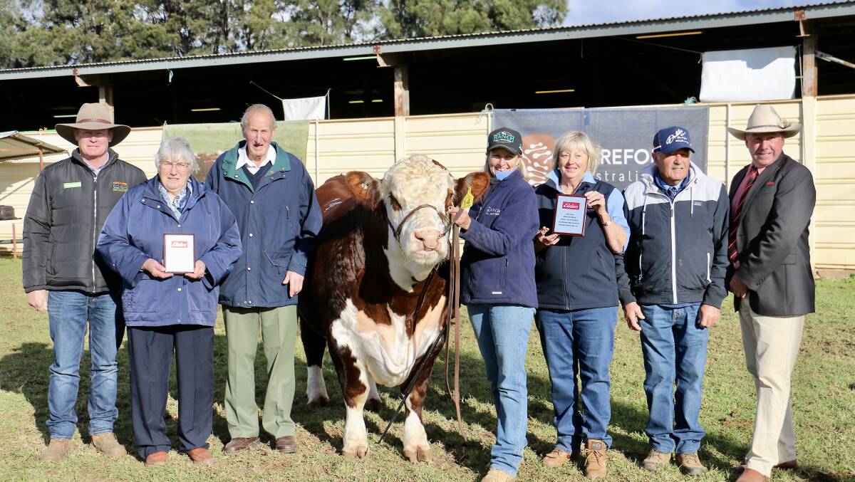 TOP BULL: Stephen Peake, Bowen Poll Herefords, Olwyn and David Lyons, Melville Park Poll Herefords, Emma, Del and Greg Rees, and Paul Jameson, Elders, with The Ranch Remington R028.
