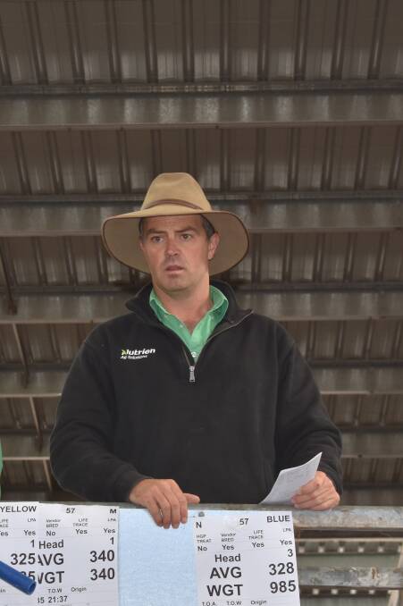 SOFTER SALE: Tyson Bush, Nutrien Ag Solutions, says prices eased a little at the May monthly Yea store cattle sale.
