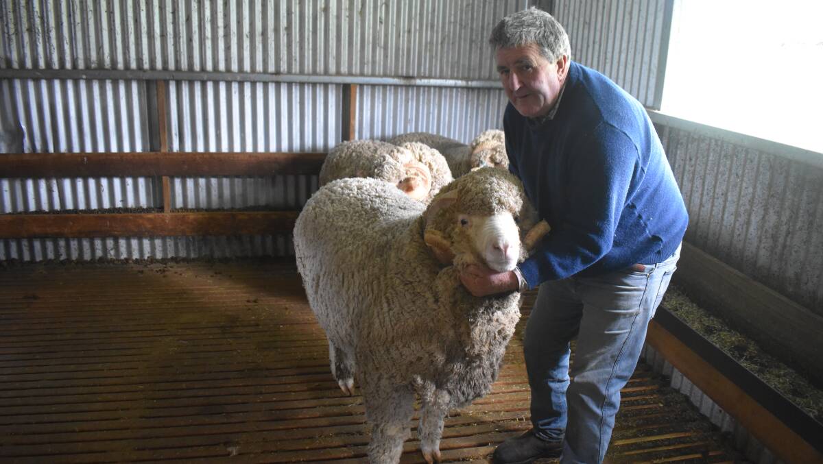 TASMANIA: Beverley Merinos stud principal John Barty, Redesdale, says the Saxon-bloodline sheep thrive in central Victoria and Tasmania. Photo by Rob Muirhead.