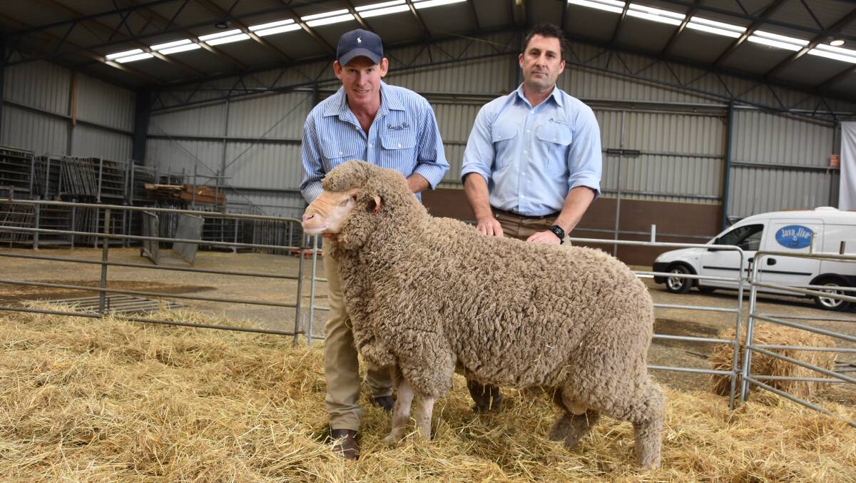 TOP PRICE: Matthew Coddington, Roseville Park, with Australian Wool Network's Brent Squires and one of two top priced rams, from this year's sale.
