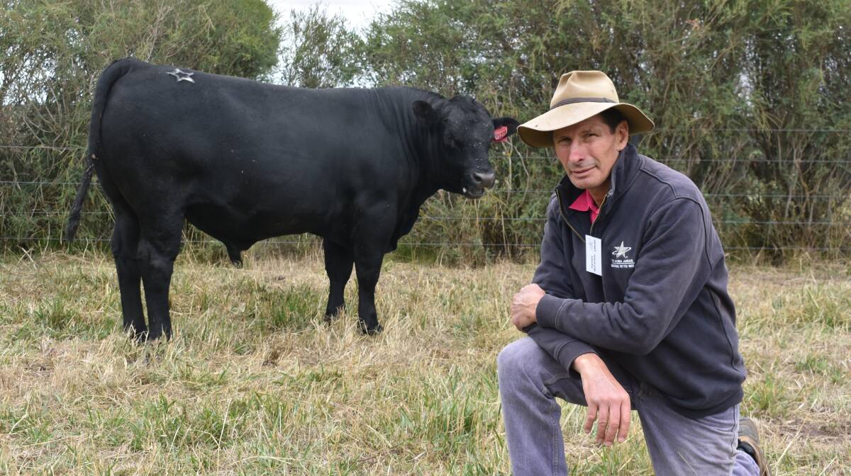SALE CHANGE: Te Mania, Mortlake, director Hamish McFarlane says the coronavirus pandemic has changed the way potential purchasers appraise bulls before buying, with a greater emphasis on sale by description.
