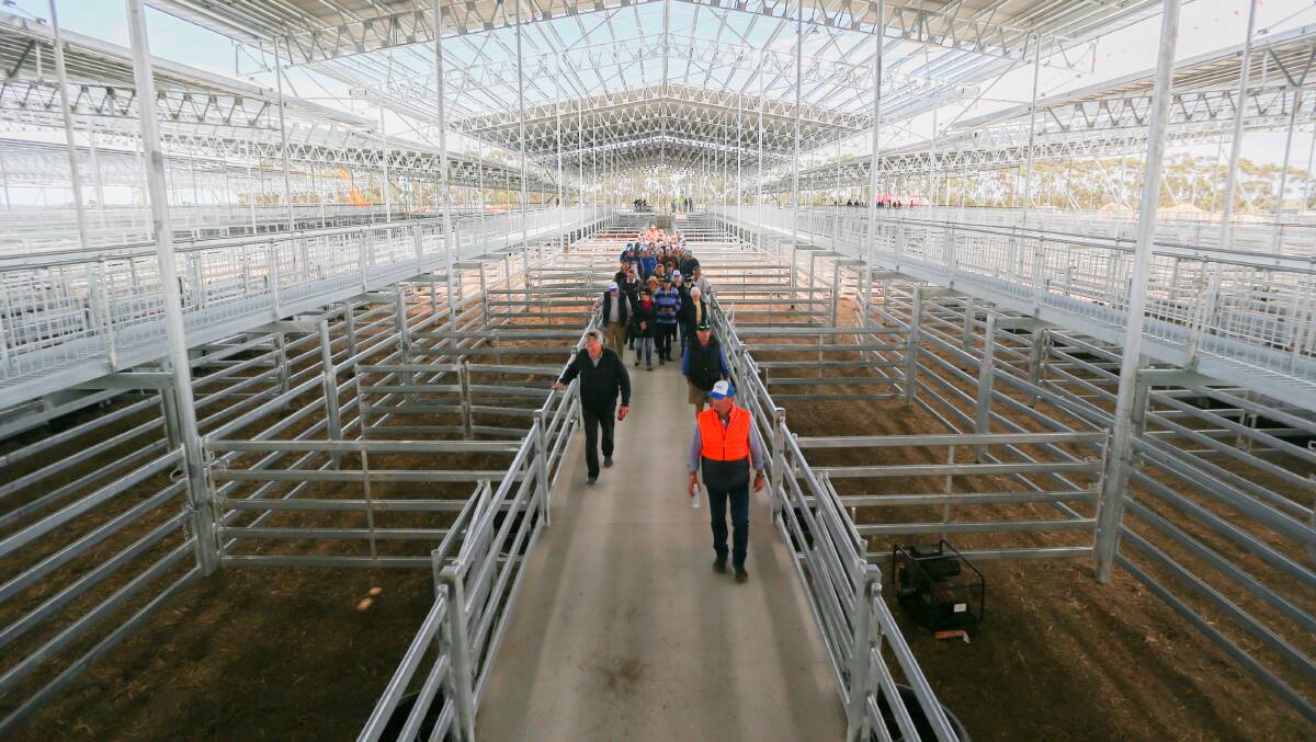 A major Victorian saleyard will have a new owner within a number of weeks. Picture by Morgan Hancock