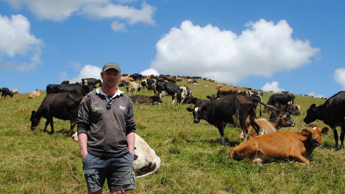 Moyarra, Gippsland farmer Brian Corr intends milking a herd of 600 crossbreds this year. Picture by Barry Murphy