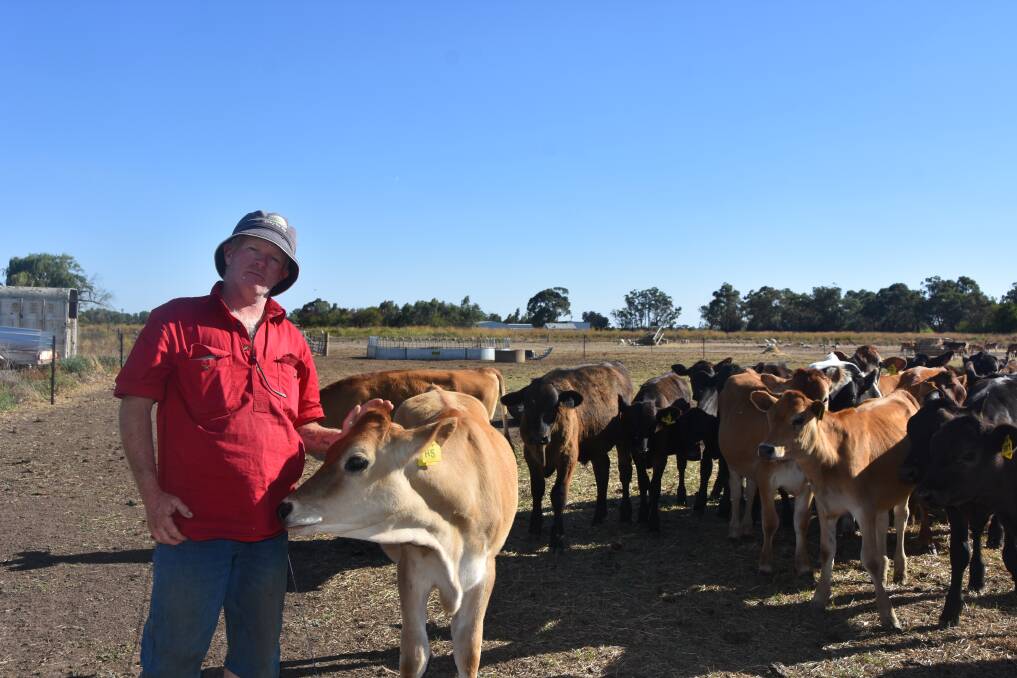 DAIRY CRISIS: The ongoing cost of water and feed sees Echuca farmer Marshall Jacobs getting ready to leave the industry.