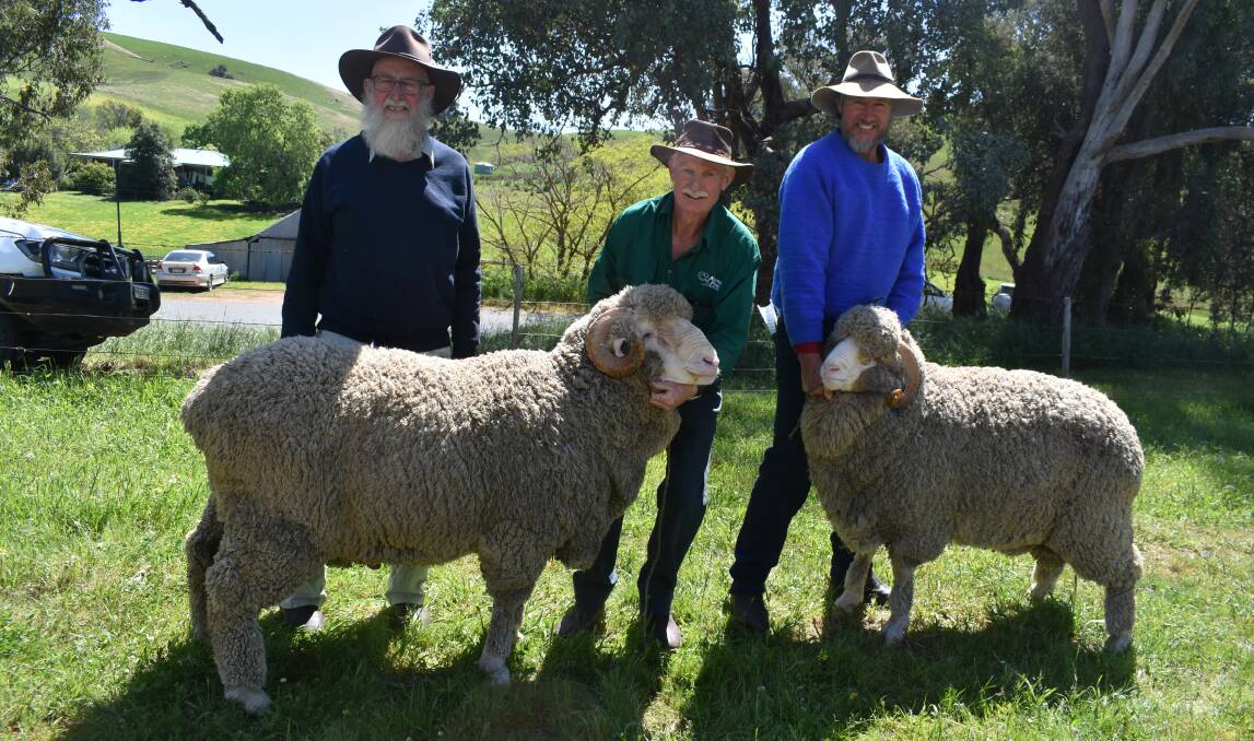 John and David Nevinson, Spring Plains Pastoral, Booroorban, NSW with the top priced rams and Kilfeera Merinos co-principal Murray McKenzie, Lurg. Picture by Andrew Miller