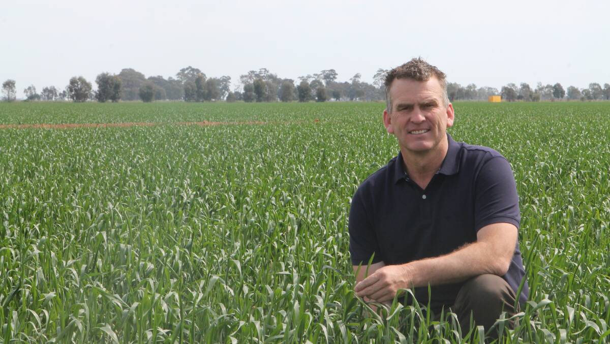 REPORT SUPPORTER: Andrew Christian, an Echuca livestock and crop producer, was supportive of the report, saying it should open the door to more efficiency programs.