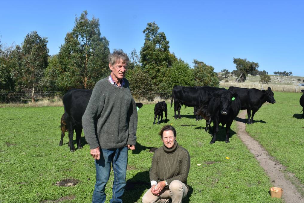 Don and daughter Kate Paterson are on a journey towards carbon neutrality, at their Nulla Vale livestock operation. Picture by Andrew Miller