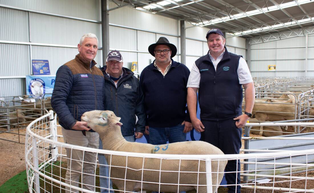 TOP RAM: Bernie Grant, LMB Linke Hamilton livestock agent, Geoff White, TB White & Sons Ballarat livestock agent, purchaser Tim Fraser, Yalla-Y-Poora Tatyoon and Athlone's Damian Cameron.