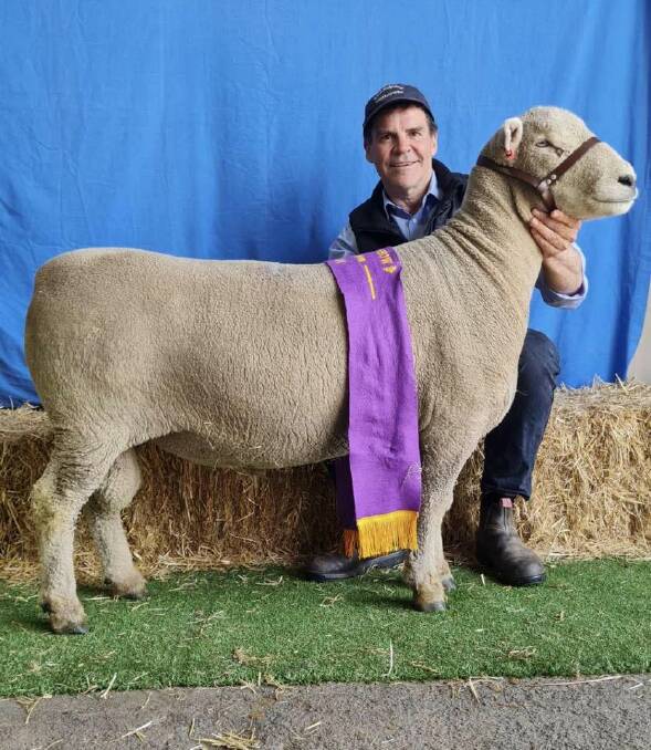 Mr Sellars-Jones with the ram, at Geelong. Picture supplied by Chandpara.