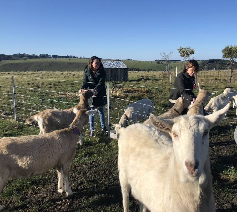 SMALL GRANTS: Agriculture Minister Jaclyn Symes has annouced the latest round of funding, under the Small-Scale and Craft Program Business Development Grants scheme.