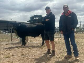 Francs stud co-principal Nick Franc with the buyer of the top-priced bull Marcus Berlyn, Able Pastoral, Ercildoune. Picture supplied