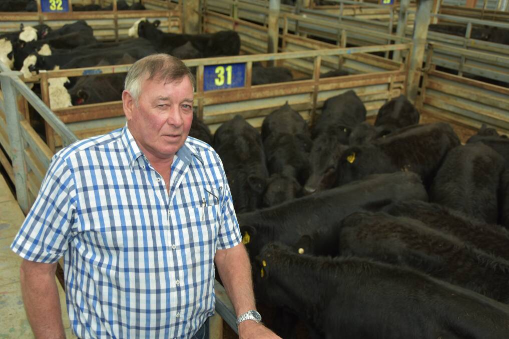 LONG DRIVE: Horsham beef producer Bruce McIntosh opts to take the long drive from the Wimmera, to Pakenham, as he says he gets better prices there.