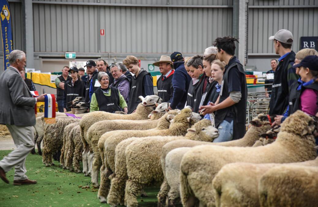 SHOW UNCERTAINTY: Judging at last year's Bendigo Australian Sheep & Wool Show. It's one of the events that may be affected by the coronavirus outbreak.