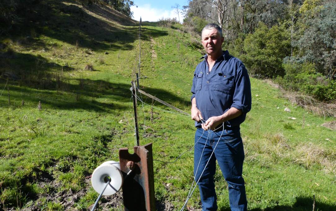 Simon Lawlor, Omeo, says deer are destroying fences on his property.
Picture by Bryce Eishold