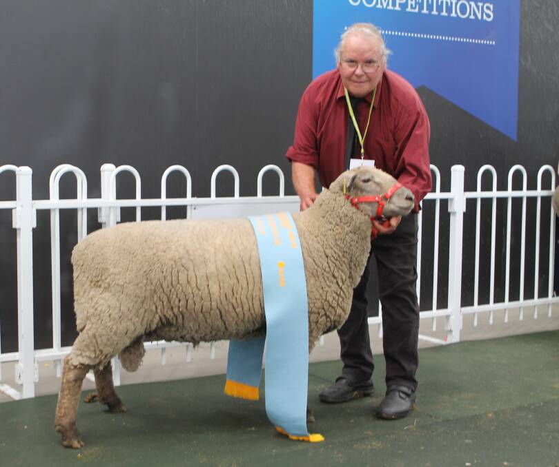 YOUNG RAM: Barry Shalders, Willow Drive South Suffolks, with the Supreme Champion, a ram. 