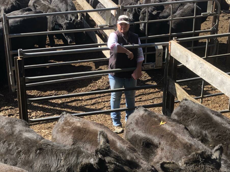 CORONAVIRUS JITTERS: Mingela Pastoral Company manager Michelle Dicks, with a pen of the company's Wagyu/Angus cross cattle.