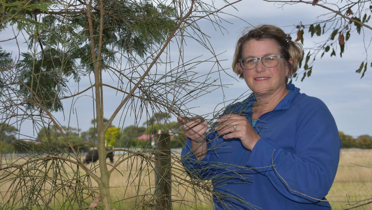 TREE SUPERMARKET: Basalt to Bay Landcare facilitiator Lisette Mill says farmers in the south-west now have acess to greater knowledge as to the types of trees and shrubs they can plant on their properties.