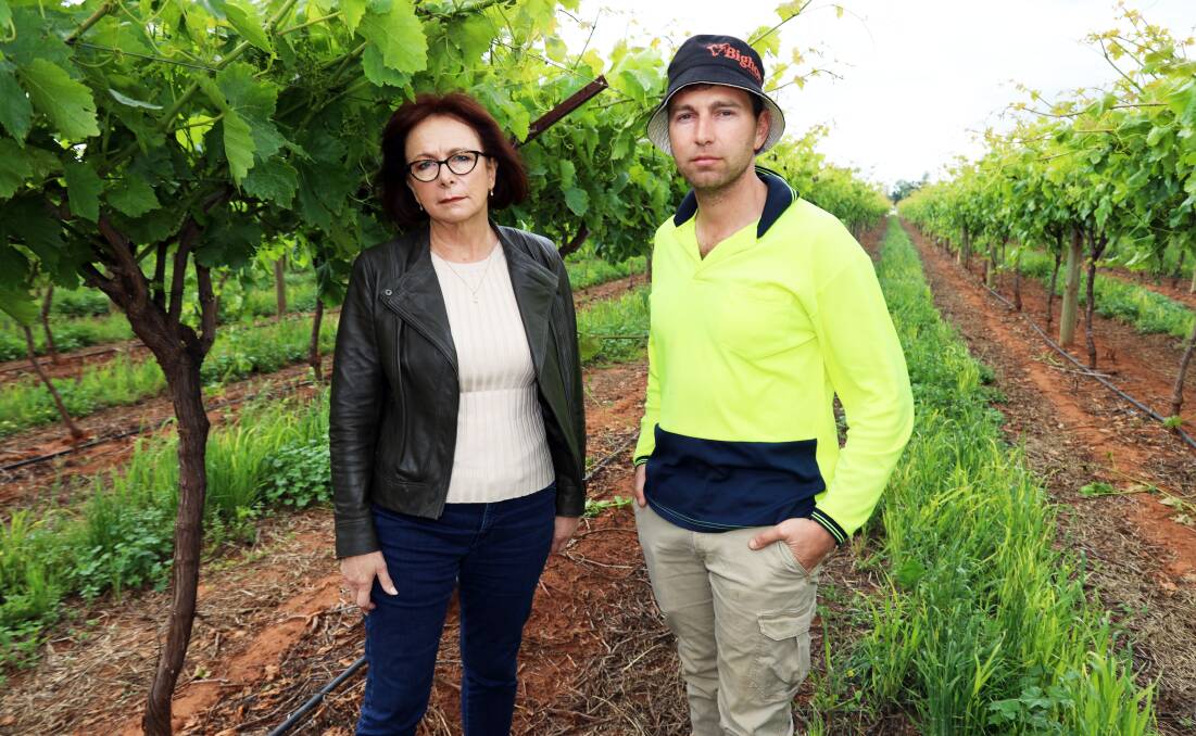 Nationals Mallee MP Dr Anne Webster with Sunraysia table grape grower Domenic Sergi, Red Cliffs. Both have condemned potential water buybacks. Picture supplied by Dr Webster's office.