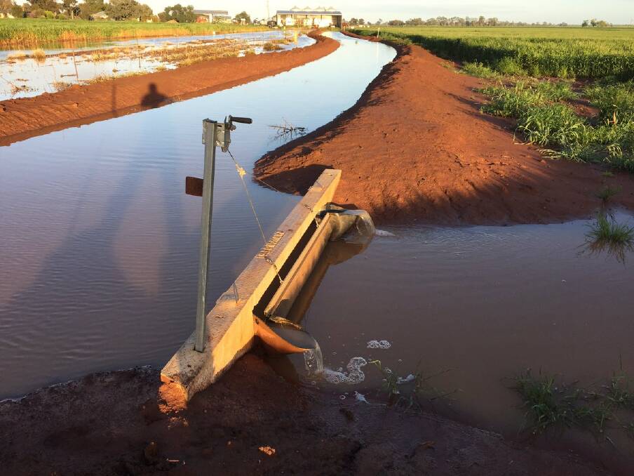 CROP DAMAGE: The irrigation system on Tyler Nelson's Boort farm. Picture: Tyler Nelson.