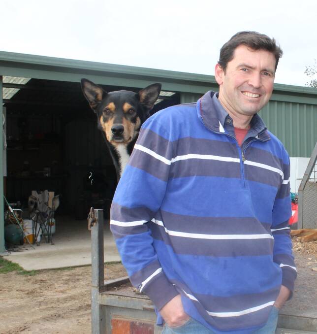 INTERNET OUTAGE: Brian Leahy, Seymour sheep and cattle producer, uses the internet in organising the O'Sullivans Central Victorian Yard Dog Championships, at this year's Australian Sheep and Wool Show.