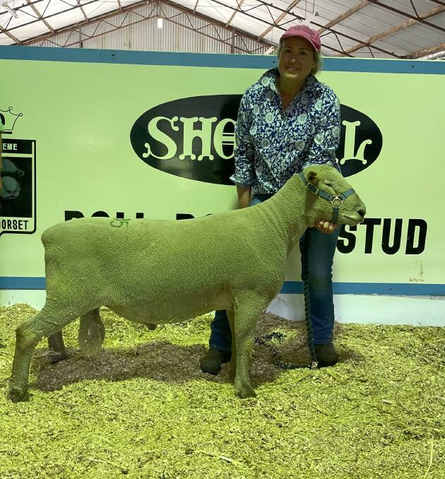 Shellal stud co-principal Tania King with the top-selling Southdown. Picture supplied by Shellal.