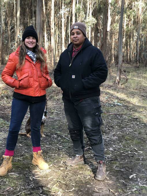 PASTURED PIG FARMERS: Amy Pagett and Buck' Buckingham are leasing land in a forestry plantation, at Grenville, with the aim of runnng a free-range pig production operation. 