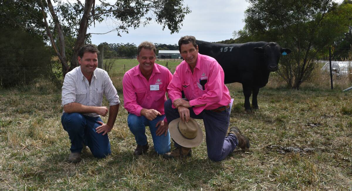 FIVE WAYS: Te Mania's top selling bull, Te Mania Pheasantry, has been knocked down to a five member syndicate, for $52,000. The syndicate includes Landfall, Tas, and stud principal Frank Archer, is with Tom Gubbins and Hamish McFarlane, Te Mania.