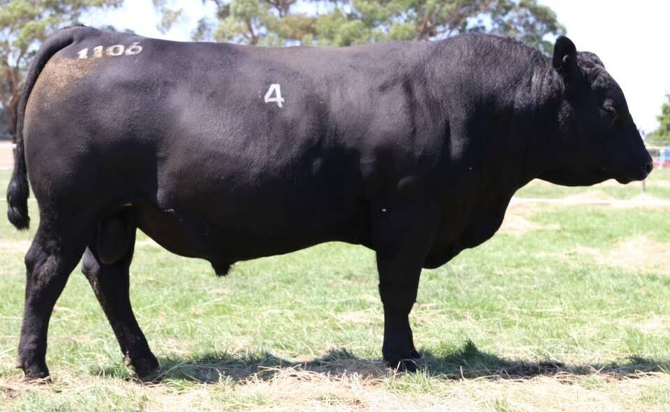 Claremont, Woolsthorpe, eclipsed last year's top-sale result by $1000, recording a highest price of $21,000 in the full clearance. Picture supplied.
