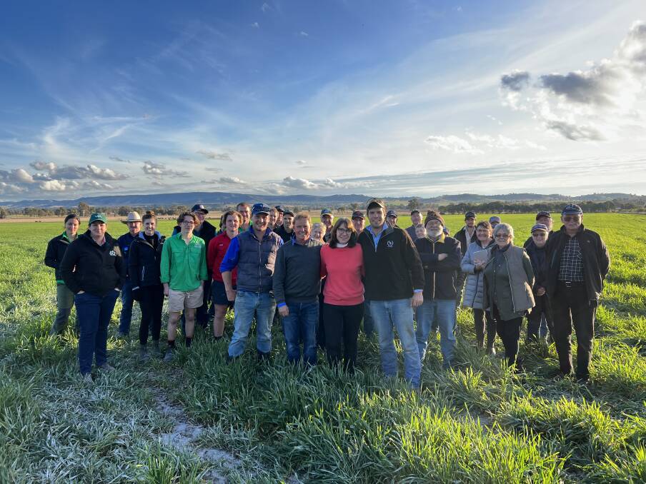 FARM TOUR: Gippsland Agricultural Group has taken more than 30 farmers on tour and visited Locke family of Fairview, Holbrook, NSW, in a recently limed wheat crop. 