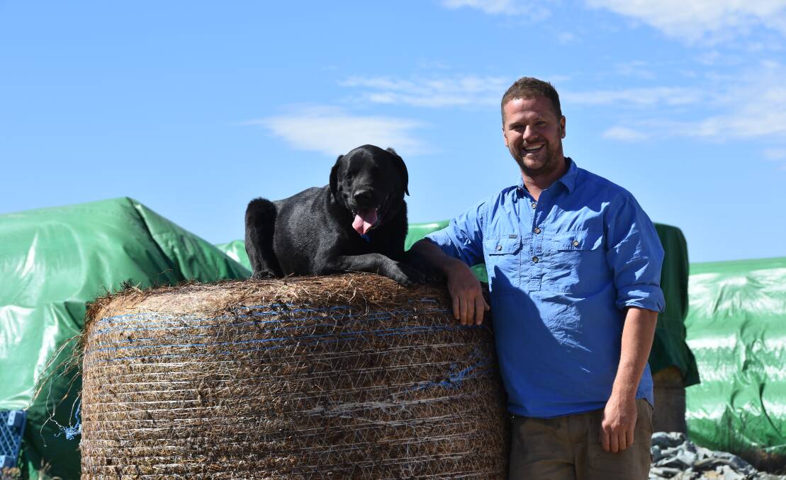 HEREFORD'S RULE: Adrian Rowe, Yarck, with Harley, the dog he calls his "farm hand." PHOTOS: Andrew Miller.