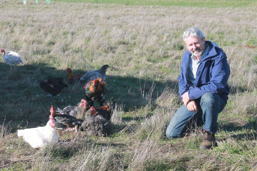TOUGH RESTRICTIONS: Bruce Burton, Milking Yard Farm, Trentham, grows Sommerlad meat chickens and was supplying them to the restaurant trade, before coronavirus hit. 