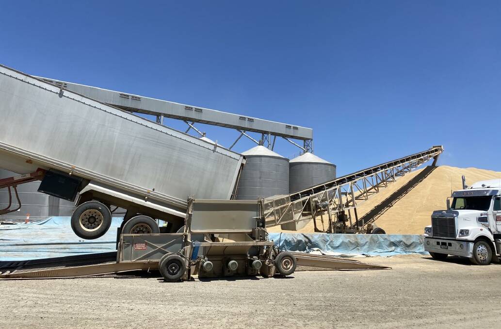 RAIL CALL: Grain being offloaded at the GrainCorp's Dookie receival facility.
