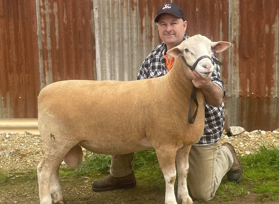 TOP RAM: The top-priced ram is described as having a tremendous carcase and great White Suffolk type by Sunnybanks principal Paul Day.